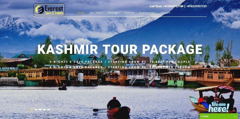everest tours and travels